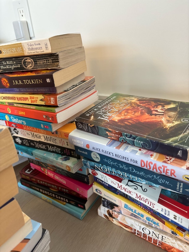 Young Adult Book Collection - photo 4