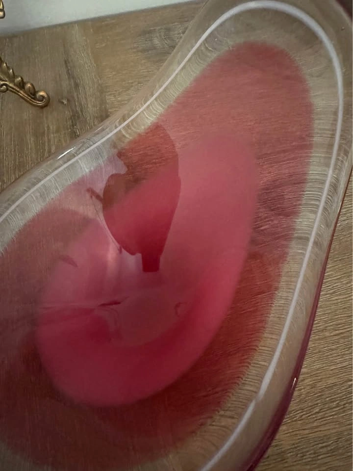 Flygsfors Coquille Pink Glass Bowl - photo 3
