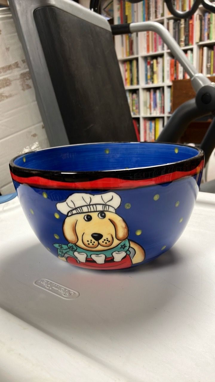 Very cute “dogzilla” bowl