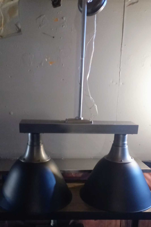 Industrial Style Double Pendant Light - photo 2