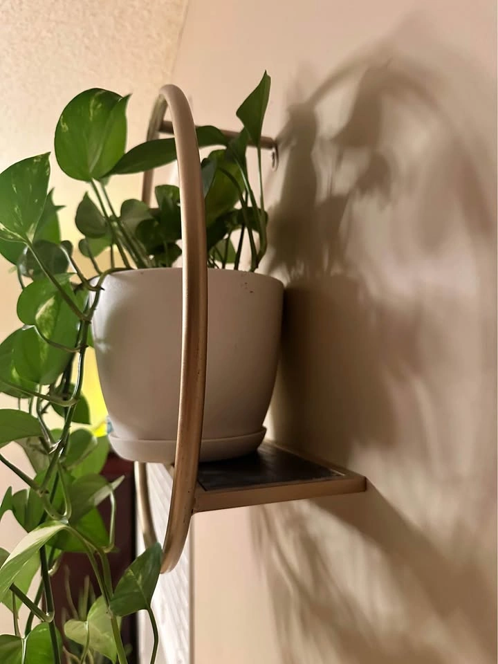Plant hanger - photo 2