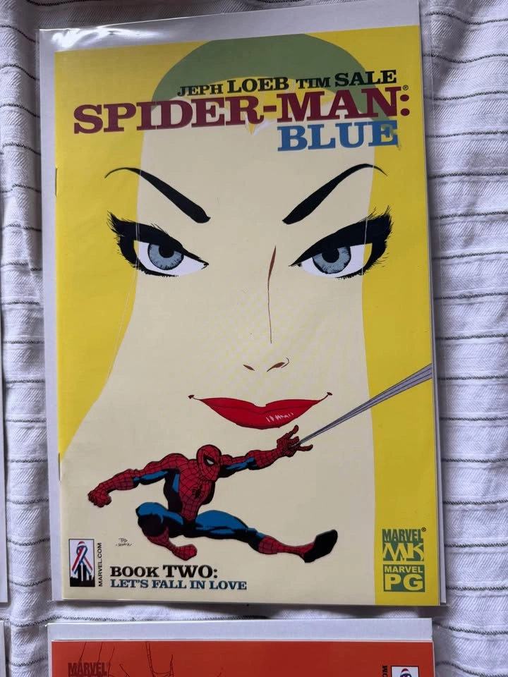 Spider-Man: Blue #1-6 Complete Run (2002-2003, Marvel) - photo 2