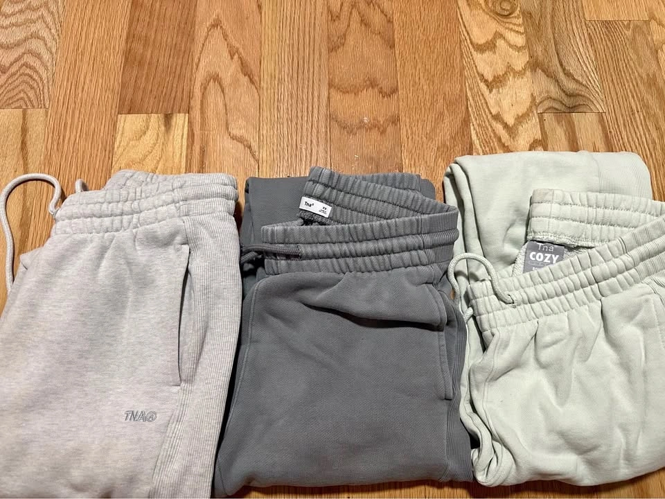 Aritzia TNA sweatpants