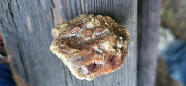 Rough Garnet - photo 2