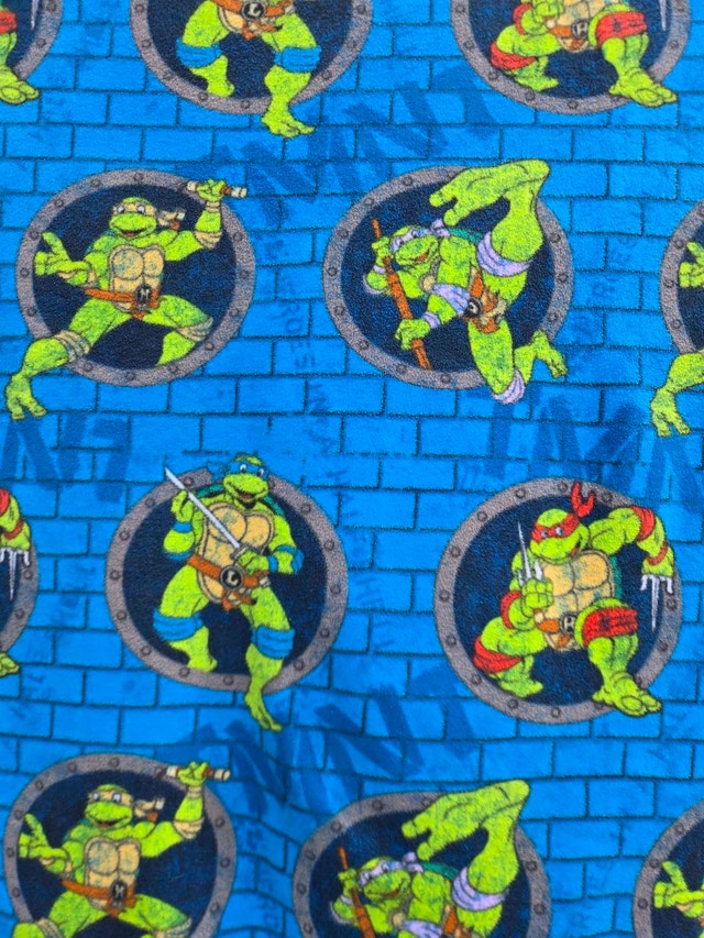 Teenage Mutant Ninja Turtles Blanket and Glass Set