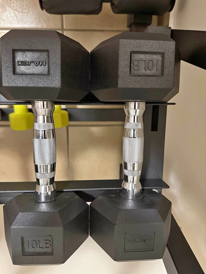 10lbs Dumbbells - Pair
