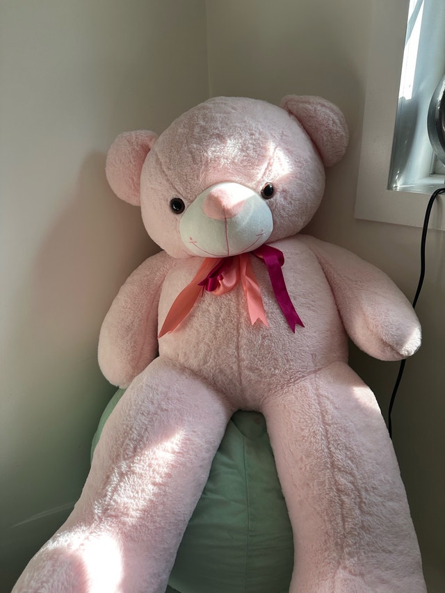 teddy bear big