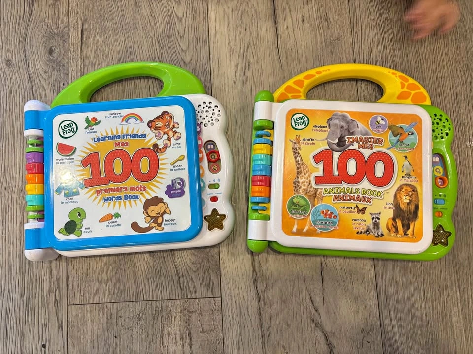 Leapfrog 100 word books