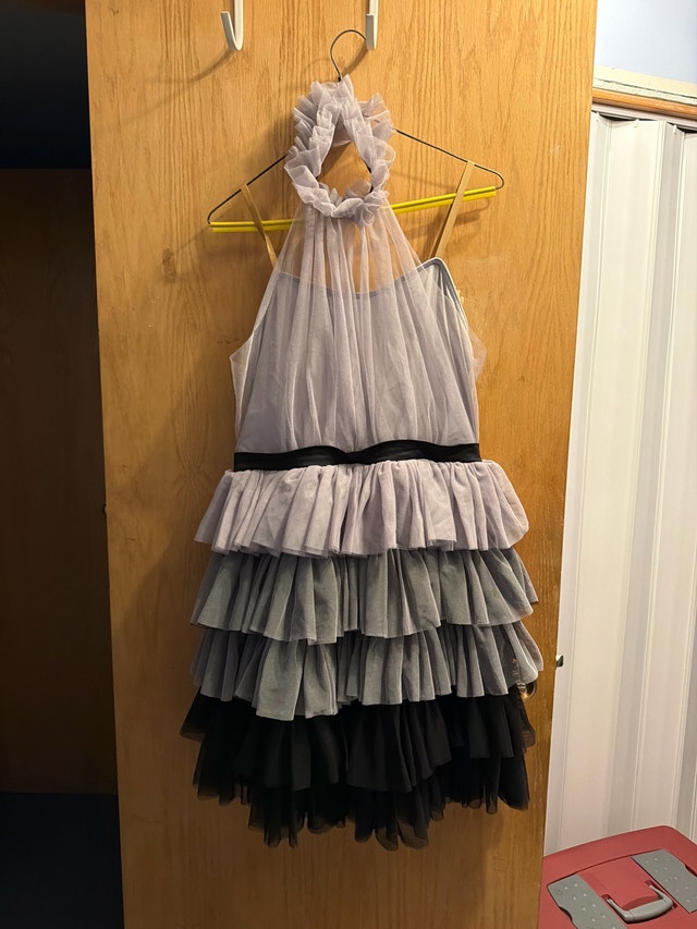 Ombre Tulle Ruffle Dress