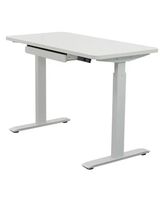 Brand New Motionwise 48x24 Electric Height Adjustable Desk