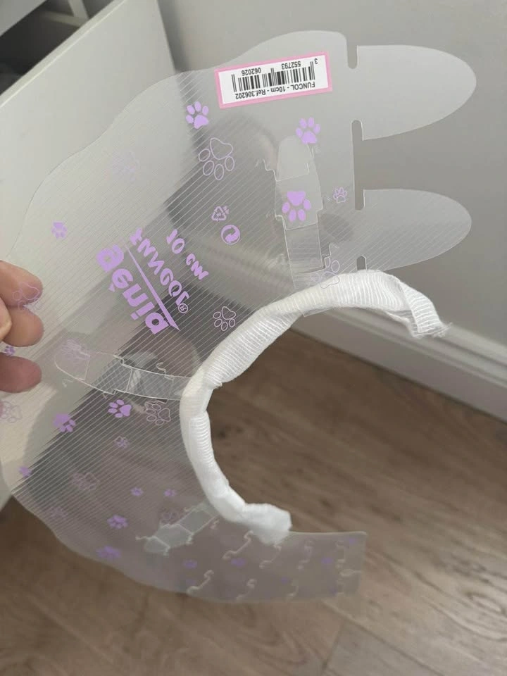 Pet Surgical suit (S) and e-cone (unused) - Cat, Dog - photo 3