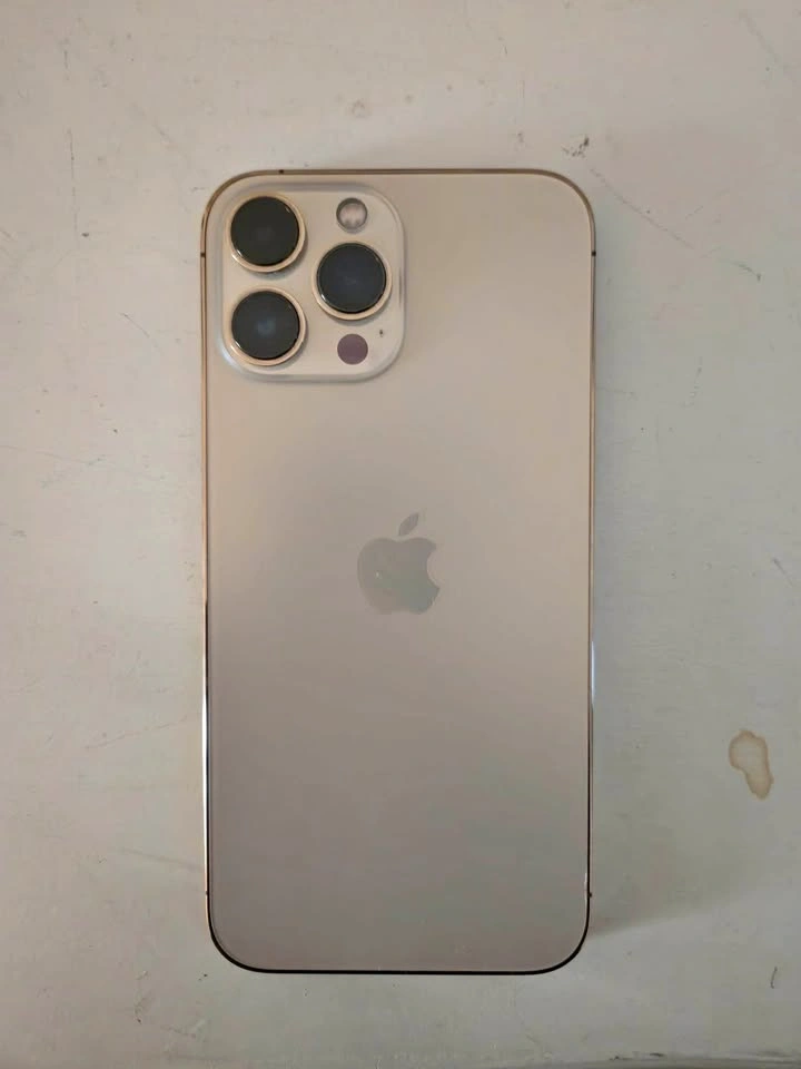 iPhone 13 Pro Max
