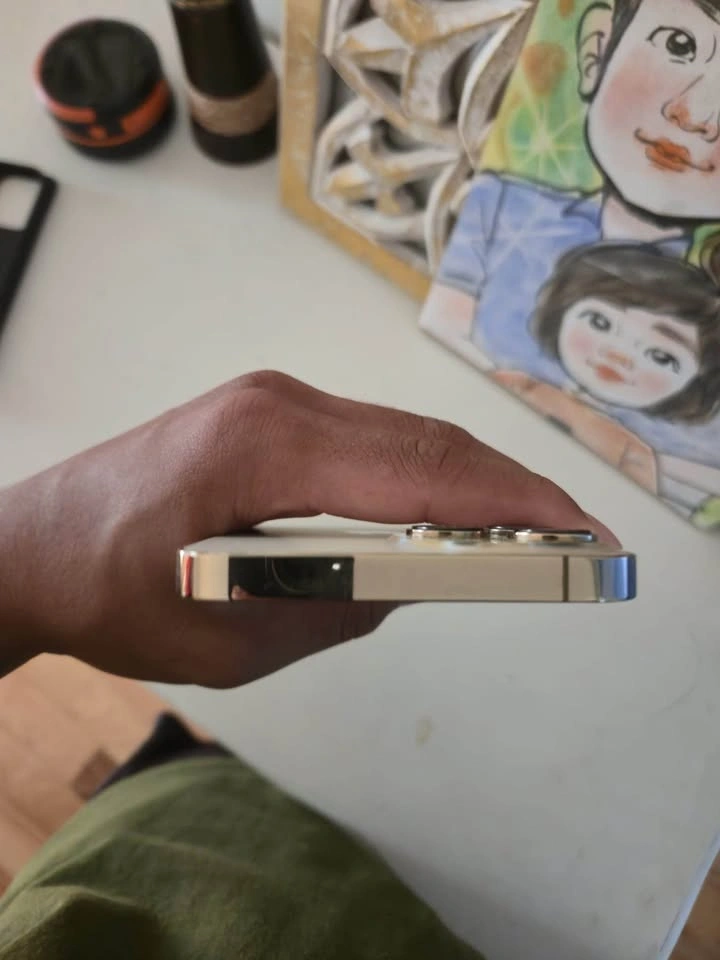 iPhone 13 Pro Max - photo 3