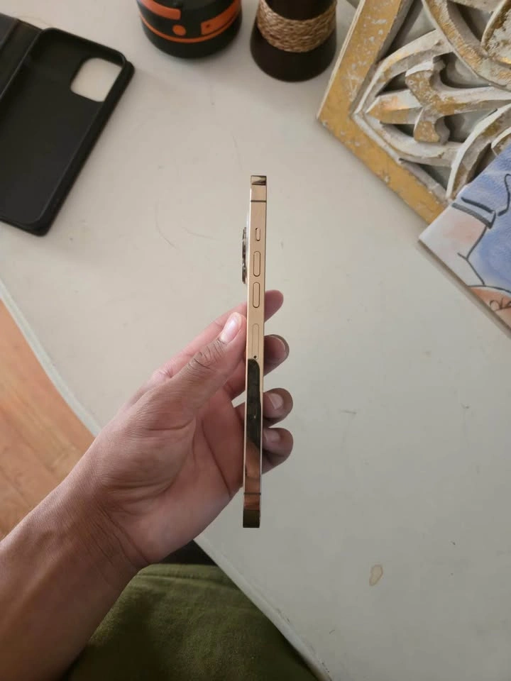 iPhone 13 Pro Max - photo 5