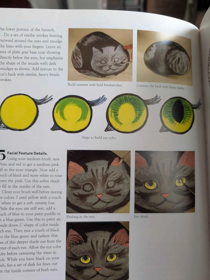 The Art of Painting Animals on Rocks by Lin Wellford - photo 5