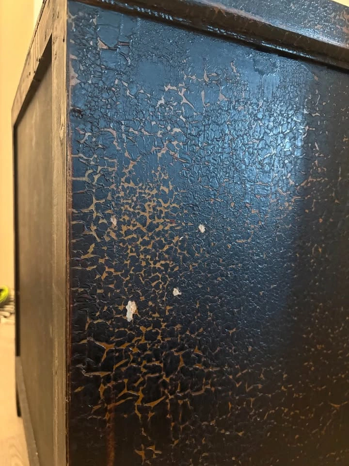 Vintage Black Cabinet with Butterfly Hardware - photo 4