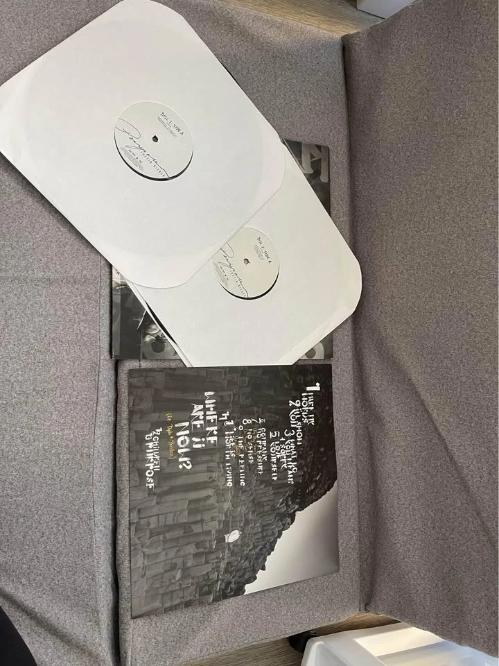 justin bieber’s purpose vinyl - photo 4