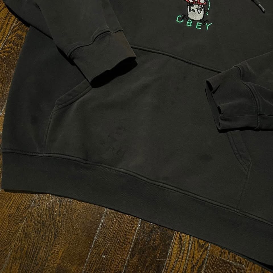 Obey Sunfaded Embroidered Hoodie - photo 4