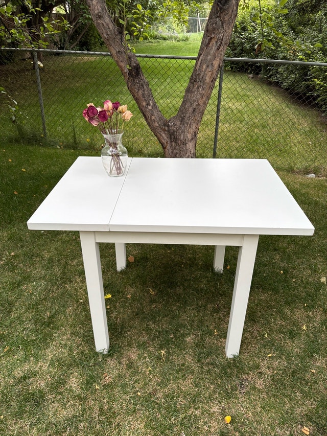 IKEA NORDVIKEN Drop-leaf table