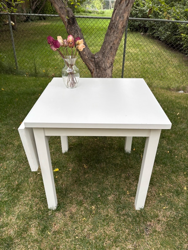 IKEA NORDVIKEN Drop-leaf table - photo 2