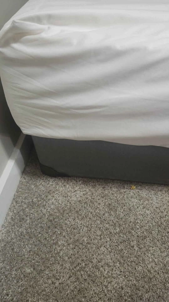 Single mattress with Box spring - photo 3