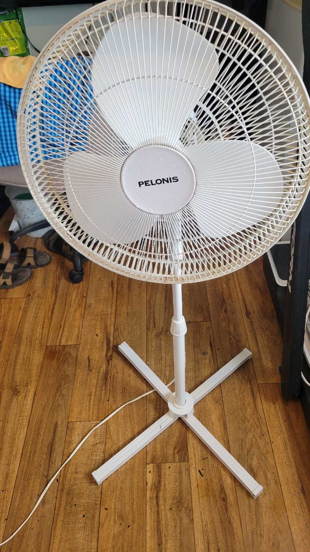 Pelonis Oscillating Stand Fan