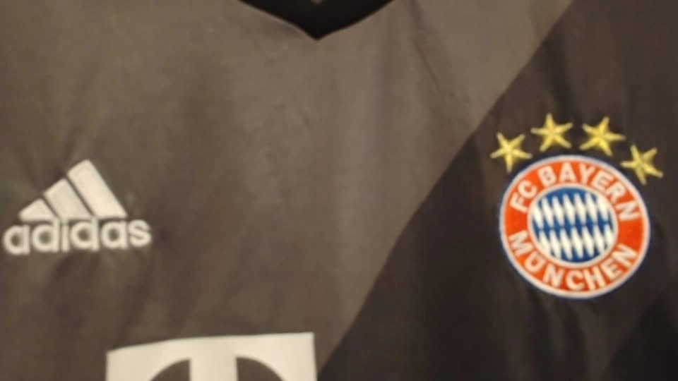 FC Bayern Munich 2016-17 Grey Away Jersey - photo 2