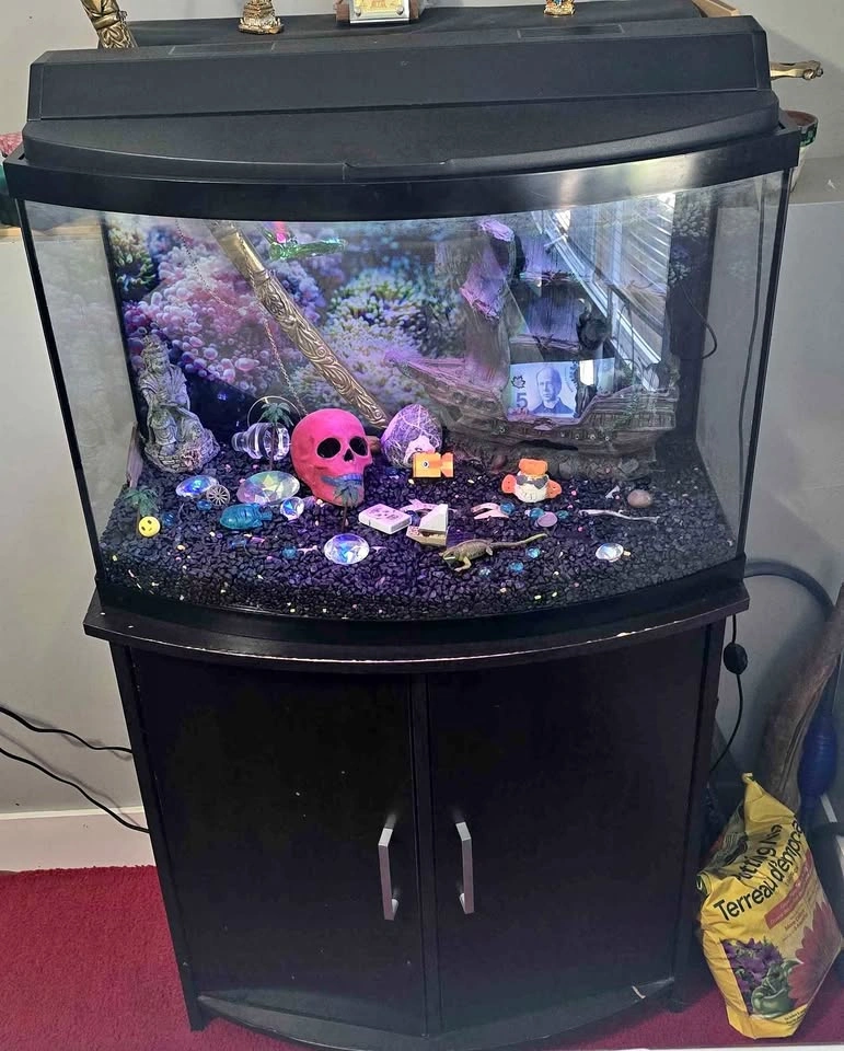 Bowfront Aquarium with Matching Stand