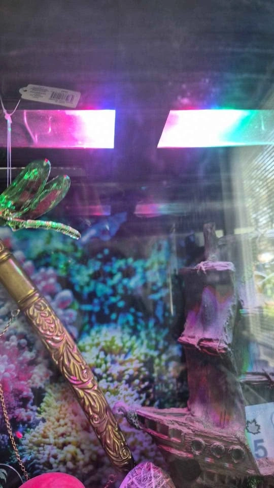 Bowfront Aquarium with Matching Stand - photo 4