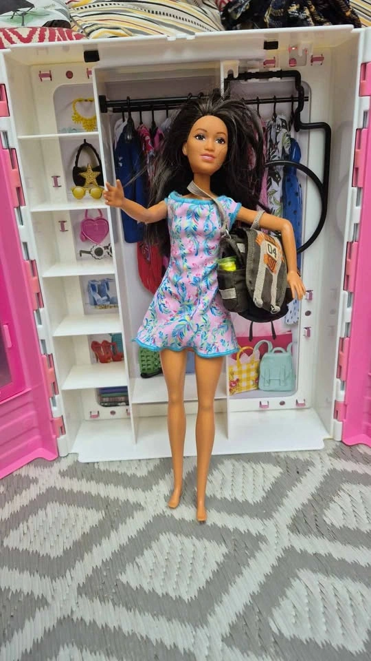 Huge Barbie Collection - photo 2