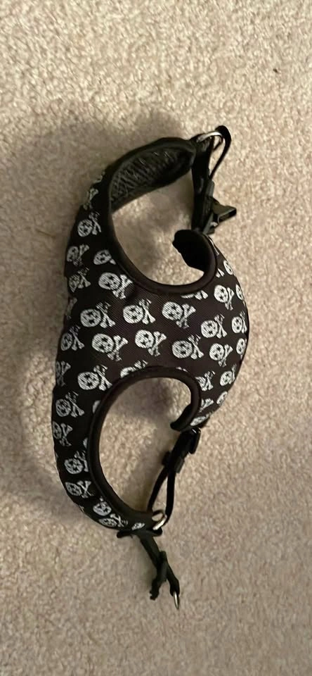 Skull and Crossbones Dog Harness