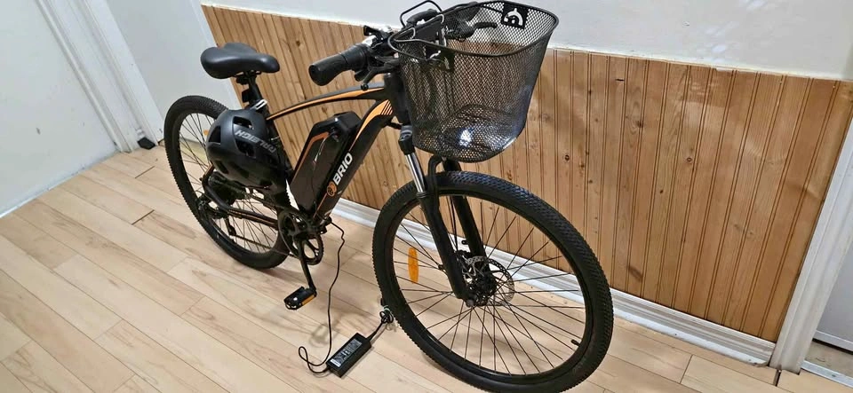 Brio 350Watt E-Bike
