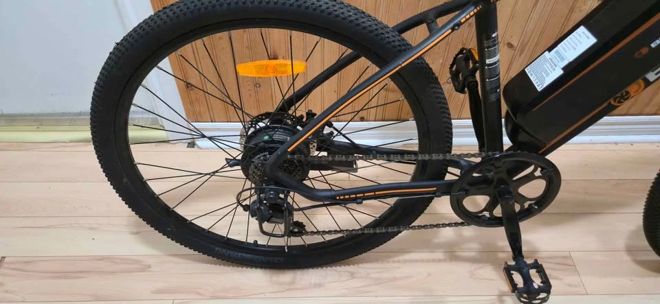 Brio 350Watt E-Bike - photo 2