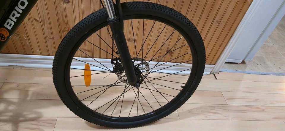 Brio 350Watt E-Bike - photo 3