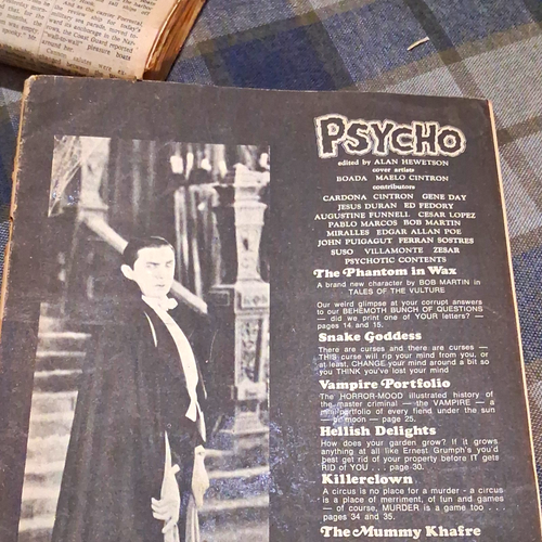 Psycho The Horror in Old London! Black & White English Alan Hewe