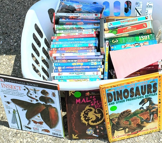 Dvds For Kids & Adults - photo 2