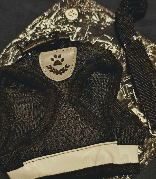 Many Dog Outfits/Items