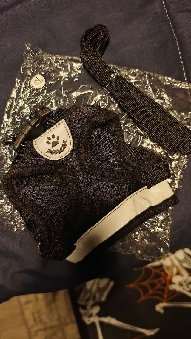 Many Dog Outfits/Items - photo 2