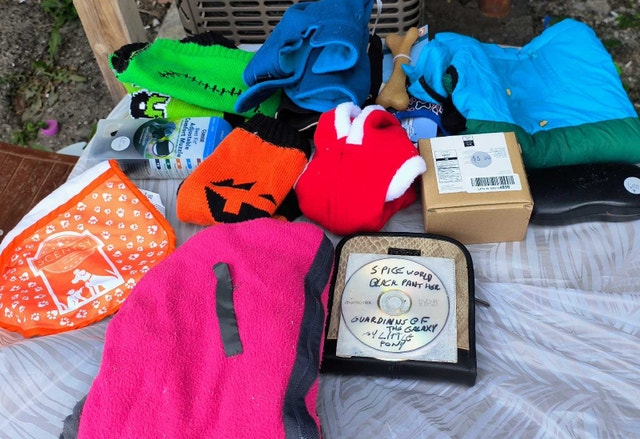 Many Dog Outfits/Items - photo 4