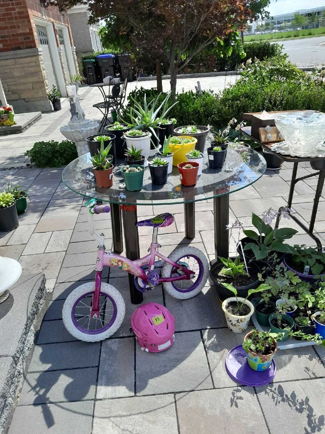 girls princess bike
