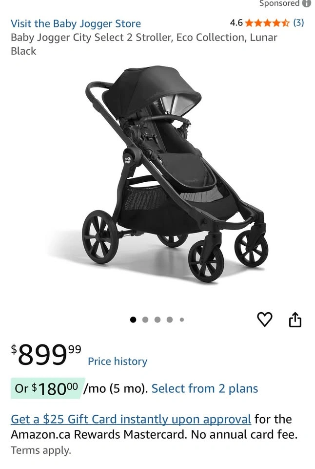 Baby Jogger - photo 2