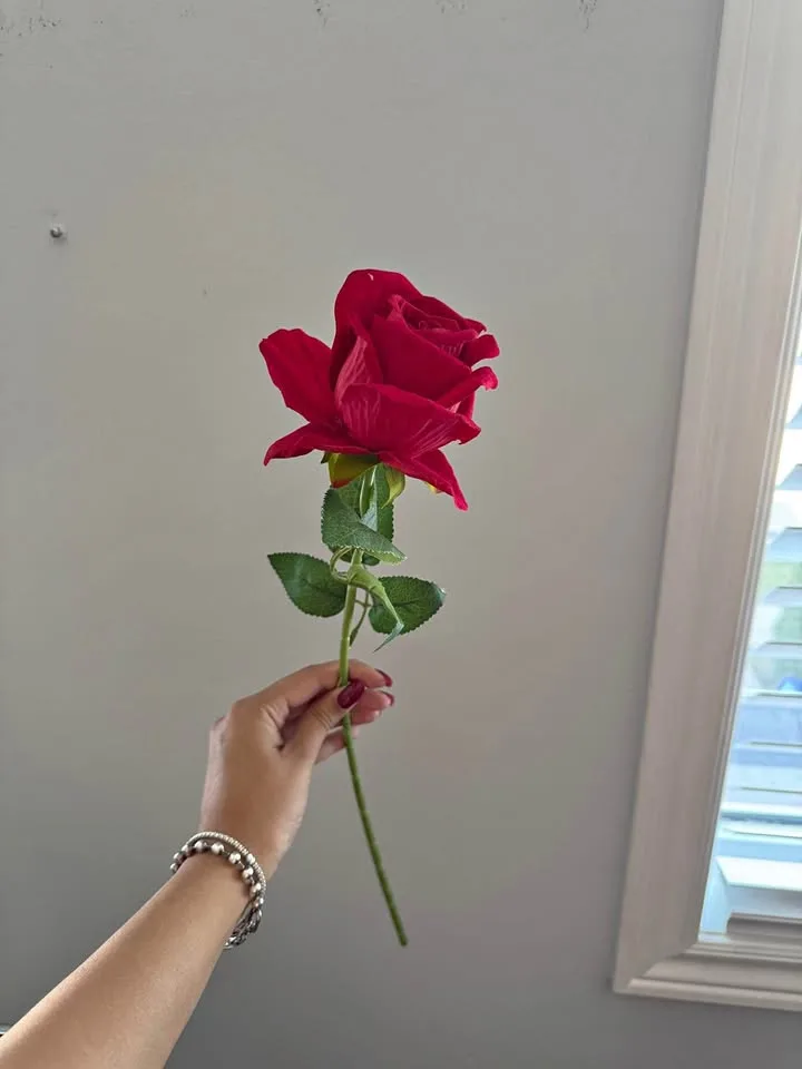 Decor Rose thumbnail