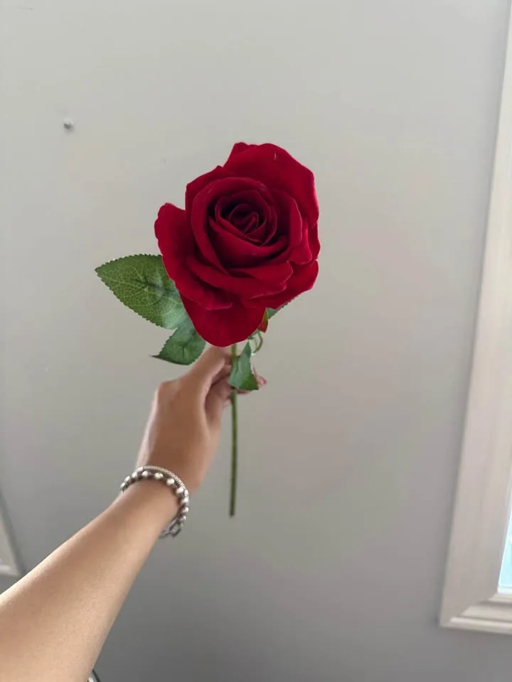 Decor Rose image indicator(2)