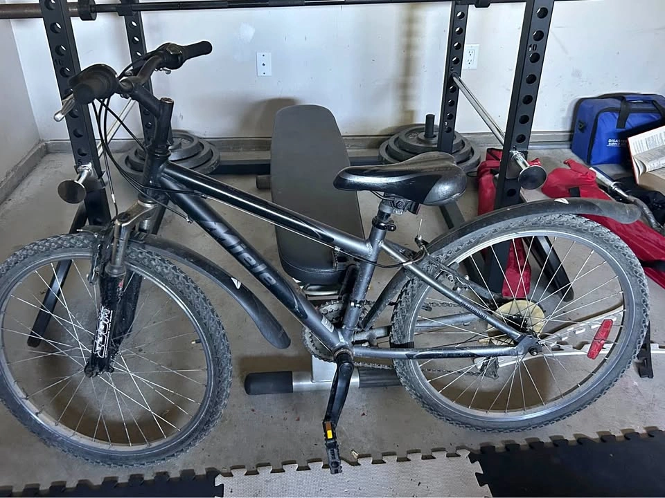 Miele Mountain Bike