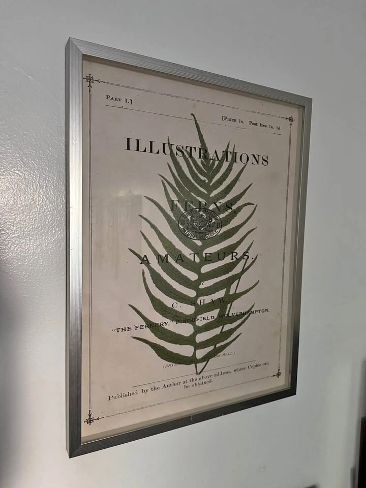 Framed Vintage Botanical Fern Print