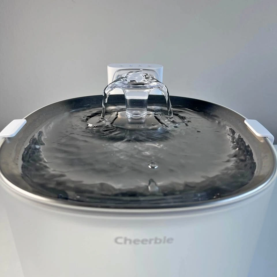 Automatic Pumpless Wireless Pet Water Fountain (2L/67oz) NO FILT