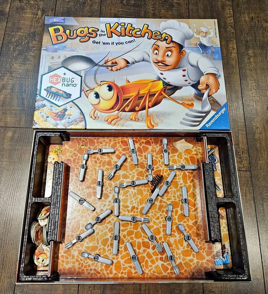 bugs in the kitchem