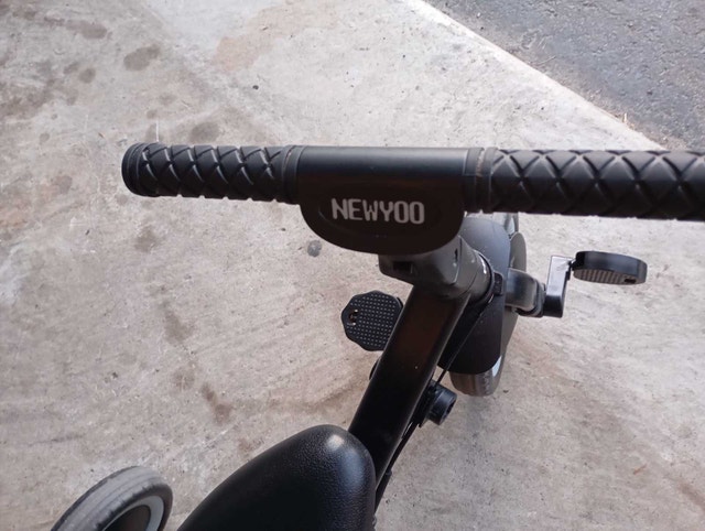 Newyoo Tricycle - photo 2