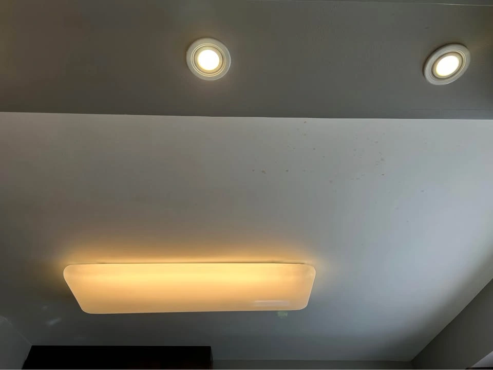 4” White Recessed LED Lights & Rectangular Fluorescent Light - photo 5