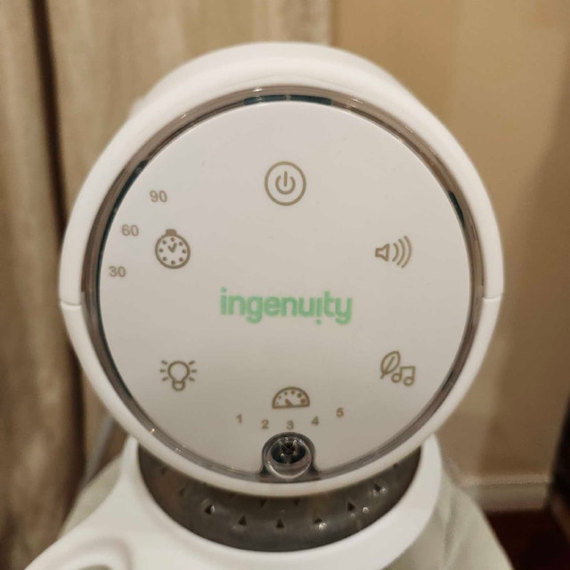 Ingenuity Baby Swing - photo 4